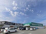 エバグリーン宮街道店まで873m