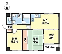 センチュリーコート紀ノ川 3DKの間取図画像