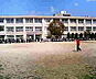 周辺：和歌山市立新南小学校まで1205m