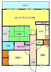 セレッソコート和歌山美園公園 3LDKの間取図画像