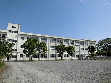 和歌山市立砂山小学校まで572m