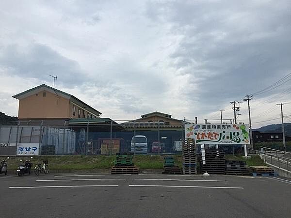 周辺を拡大表示