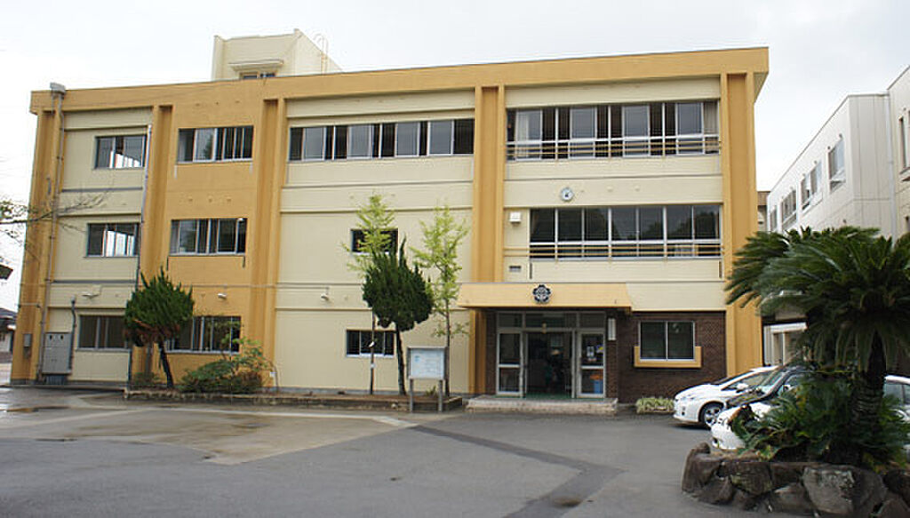 Image 8