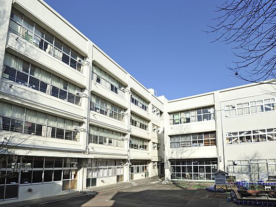 横浜市立港北小...