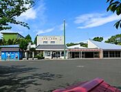 上中里幼稚園　900m　専任講師による体育指導、ネイティブスピーカーの英語指導、年長組はお茶会で日本の伝統文化を学びます。 