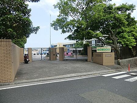 さゆり幼稚園 1000m 緑に囲まれた環境の中で保育を行っています。保育時間前に8時より朝預かり保育があります。