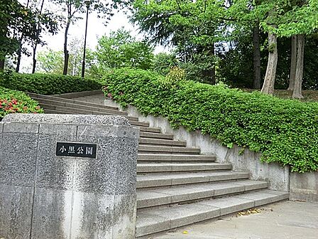 小黒公園 550m 桜が見所の公園です。広場を囲むように遊歩道があり散策も楽しめます。