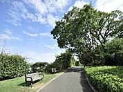 本牧山頂公園　550m　べイブリッジやランドマークタワーを一望できる見晴らしのよい公園です。大自然の中でゆったりと寛げます。 