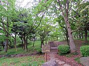 舞岡公園　1100m　昔ながらの田園風景が残された自然いっぱいの広大な公園。春には美しい桜の下でお花見が楽しめます。 