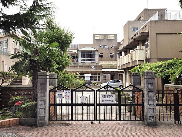 周辺を拡大表示