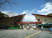 こどもの国　1300m　横浜市青葉区と東京都町田市にまたがる、多摩丘陵の自然を生かした100万平方メートルもの広大な遊び場。 
