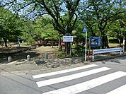 梶ケ谷第一公園　450m　小さなお子様にも楽しめる緑が溢れる公園です。 