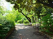 神奈川公園　700m　翠溢れる街のオアシスとして、近隣の方に愛されています。 