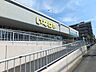 周辺：いなげや横浜西が岡店　650m　毎日の食卓を彩る食料品が品揃え豊富に揃います。駐車場も広く買い物もしやすいです。 