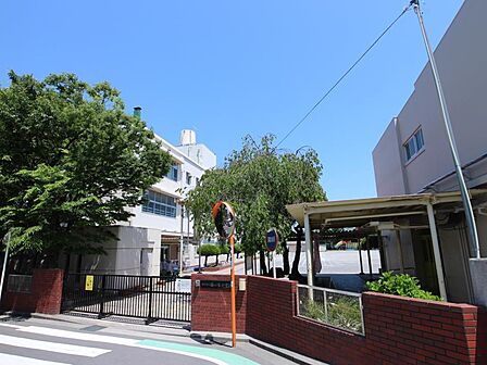 横浜市立藤の木小学校 700m 徒歩9分。小学校が近いのは子育てファミリーにもおすすめのポイント。