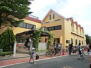 玉幼稚園　20m　幼稚園のすぐそばに園の“田んぼ”と“畑”があり、お米や季節の野菜を園児たちが育てます。  