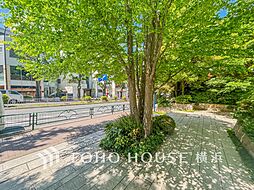 時間のゆとりと空間、爽やかな陽光がもたらす光と風を贅沢なまでに感じる暮らしが始まります。
