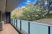 木々の緑がまぶしい、豊かな緑と静寂。ずっと見ていたいと思わせてくれる景色。