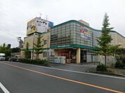 コーナンビーバープロ宮前野川店　650m　リフォーム・インテリア・ガーデニング・ペット向けの商品など幅広く提供しています。 