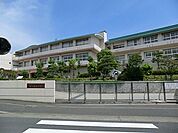 藤沢市立藤ケ岡中学校　1100m　徒歩14分。中学生の体力づくりにはぴったりの距離かもしれませんね。 