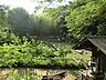 周辺：天王森泉公園　10m　天王森泉館・湧水の森・見晴らしの丘・くわくわ森の4つのエリアに分かれた緑豊かな公園。 