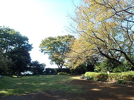 白幡公園 700m 公園の中には修繕が終わったばかりのログハウスもあります。木のぬくもりを感じながら思いっきり遊べます。