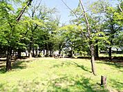 日限山公園　130m　みどりいっぱいで癒される公園。遊具も揃っているので、小さなお子様も楽しく遊べます。   
