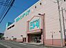 周辺：ニトリ 港北ニュータウン店　1400m　豊かな暮らしをお手伝いしてくれます。大型家具からインテリア用品までトータルで揃うホームセンター。 