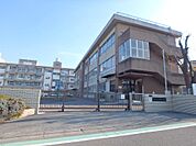 横浜市立東本郷小学校　550m　徒歩7分。小学校が近いのは子育てファミリーにもおすすめのポイントです。 