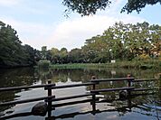 菊名池公園　700m　地域の住民の憩いの場。池、広場、プールなどがあり、夏の暑い日にはプールから元気な声が聞こえてきます。 