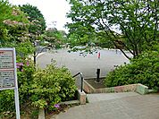下田町四丁目公園　350m　下田小学校校庭と「松の川緑道」に面する緑豊かな公園。 