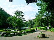 三ッ池公園　1800m　池や森のある広大な敷地にプール、テニスコートなどの施設が点在する県立公園。住宅地の中のオアシスです。 