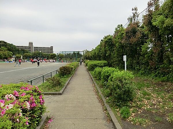 周辺を拡大表示