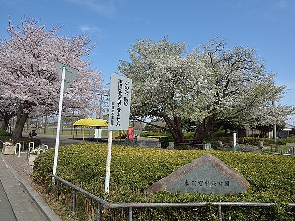 周辺を拡大表示