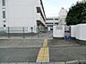 周辺：横浜市立義務教育学校霧が丘学園小学部　1400m　徒歩20分。お友達との会話も弾む通学路。お子様のかけがえのない思い出に。 