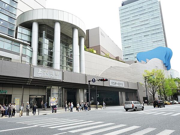 周辺を拡大表示