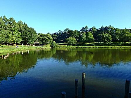 徳生公園 280m 高層住宅群の中心部に立地する大きな池のある公園。変化に富む風景を 楽しみながら散策できます。