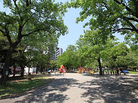 反町公園　270m　たくさんの木々に囲まれ、ゆったりと過ごすことのできる癒しの空間です。 