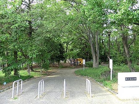 藤が丘公園 180m 緑が多く森林浴ができそうな大きな公園。高低差がありジョギング・ウォーキングにもおススメです。