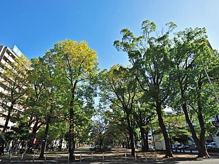 大通り公園　300m　波のイメージのタイルのモザイクや流氷のイメージのオブジェがあり、自分流で楽しめる公園です。 