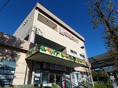 東急ストア江田店 450m 毎日の食卓を彩る食料品が品揃え豊富に揃います。ドラッグストア「トモズ」併設。日用品のお買い物も便利。