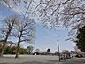 周辺：川上公園　500m　広い広場や遊具のある見晴らしの良い公園。春には桜の下でお花見ができます。 