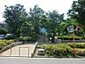 周辺：百合ヶ丘第三公園　1000m　公園内に「百合丘こども文化センター」が整備されています。遊具エリアやグラウンドがあります。 