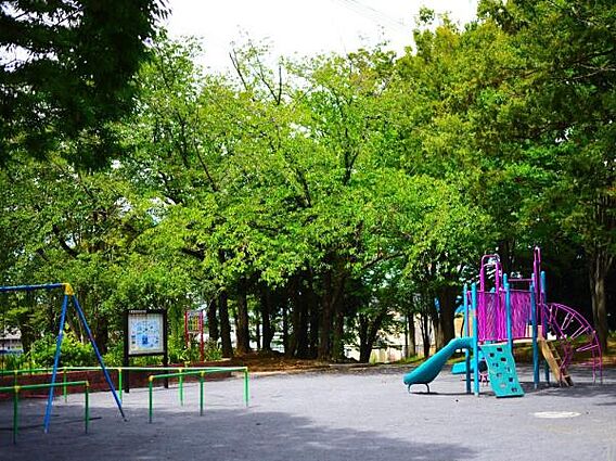 日限山公園　8...