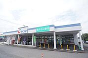 カワチ薬品牛久上柏田店まで1889m