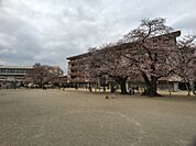 土浦市立真鍋小学校まで480m