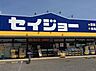 周辺：くすりセイジョー大和田店まで995m
