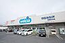 周辺：ウエルシア新座野火止店まで1600m