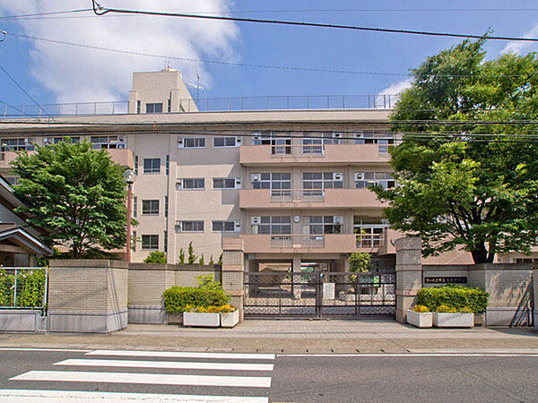 周辺を拡大表示