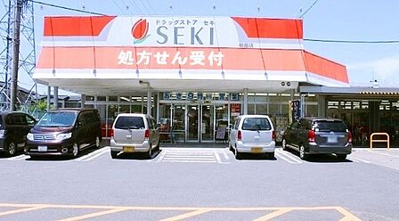 ドラッグストアセキ柏座店まで1303m